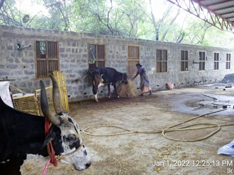 File:20220101 122513 11.jpg