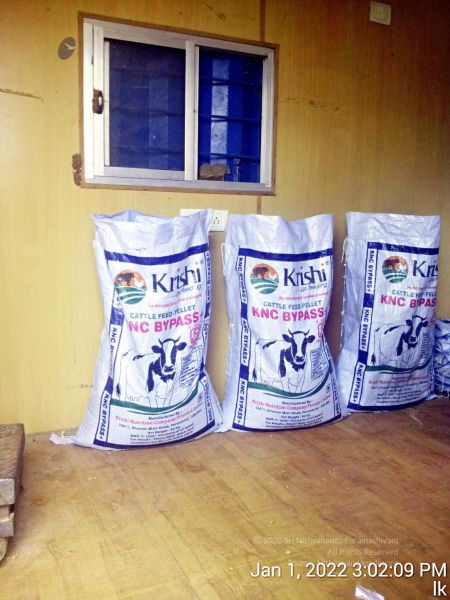 File:20220101 150209 11.jpg