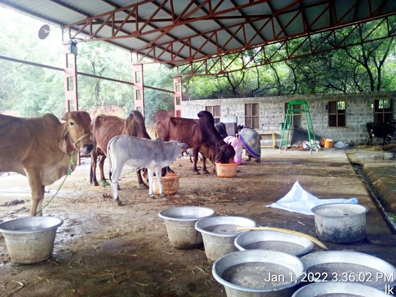 File:20220101 153602 11.jpg