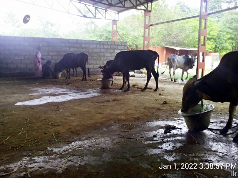 File:20220101 153858 11.jpg