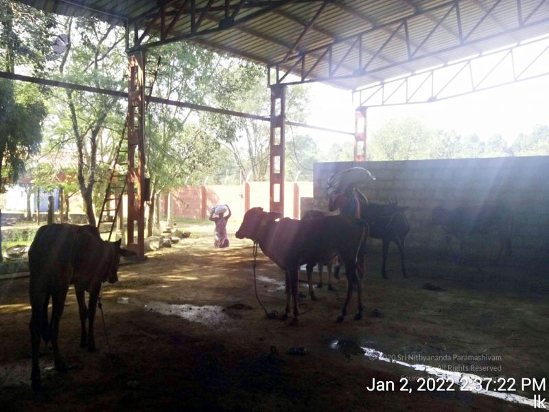 File:20220102 143722 11.jpg