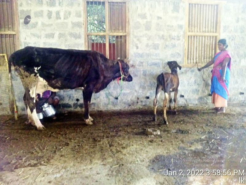 File:20220102 155856 11.jpg