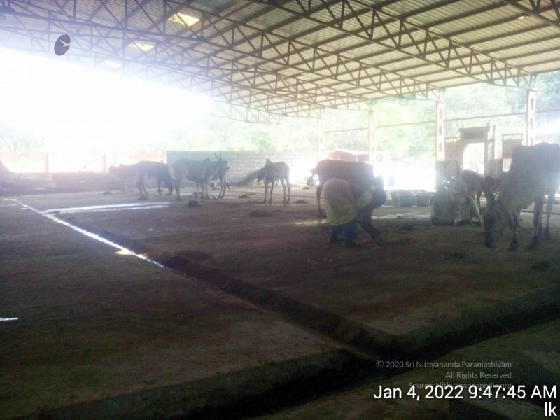 File:20220104 094745 11.jpg