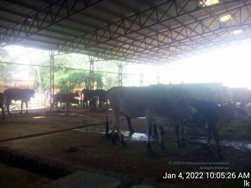 File:20220104 100527 11.jpg