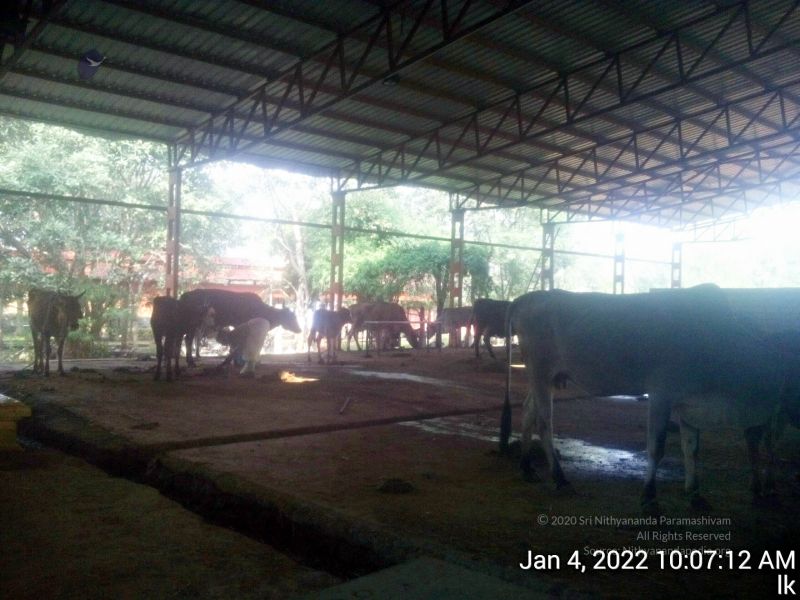 File:20220104 100712 11.jpg