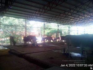 20220104 100720 11.jpg