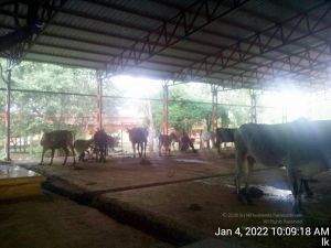 20220104 100918 11.jpg