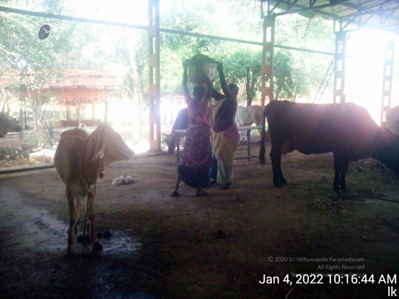 File:20220104 101644 11.jpg