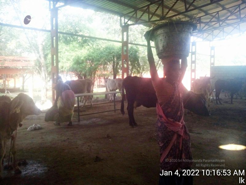 File:20220104 101653 11.jpg