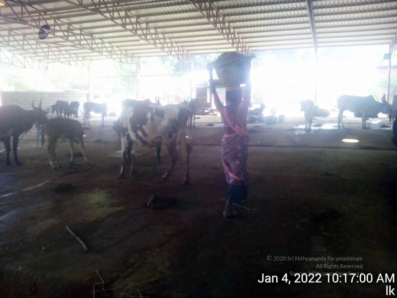 File:20220104 101700 11.jpg