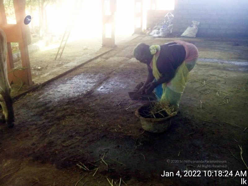 File:20220104 101824 11.jpg