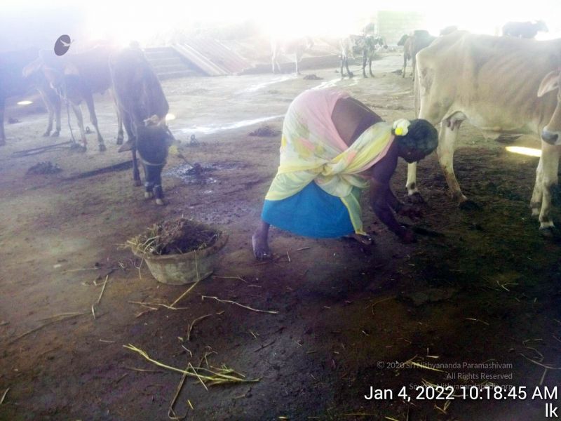 File:20220104 101845 11.jpg