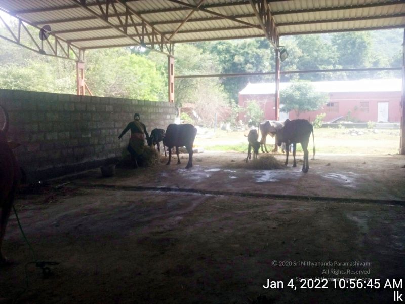 File:20220104 105645 11.jpg