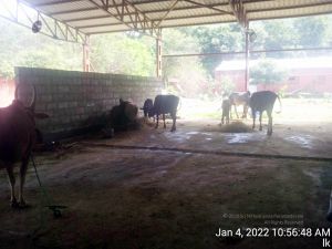 20220104 105648 11.jpg