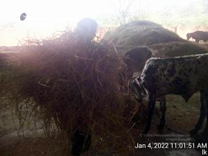 20220104 110151 11.jpg