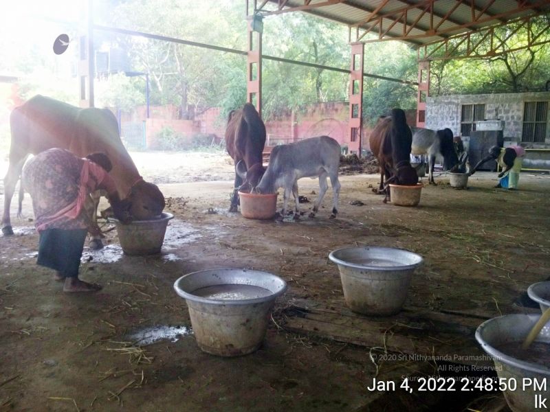 File:20220104 144850 11.jpg