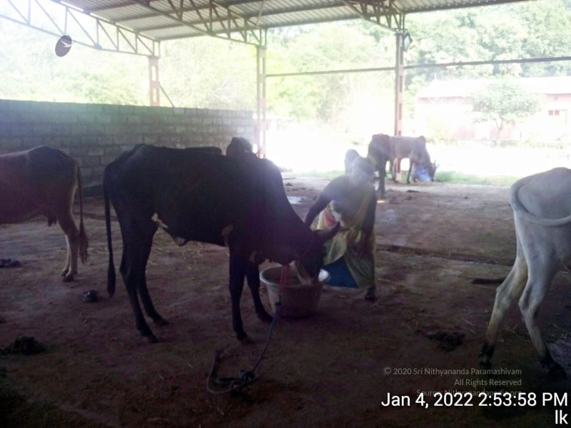 File:20220104 145358 11.jpg