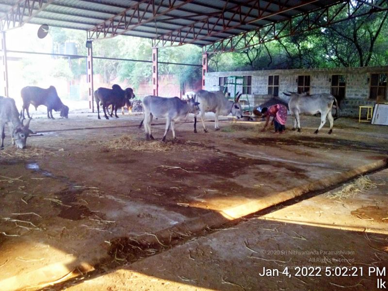 File:20220104 170221 11.jpg