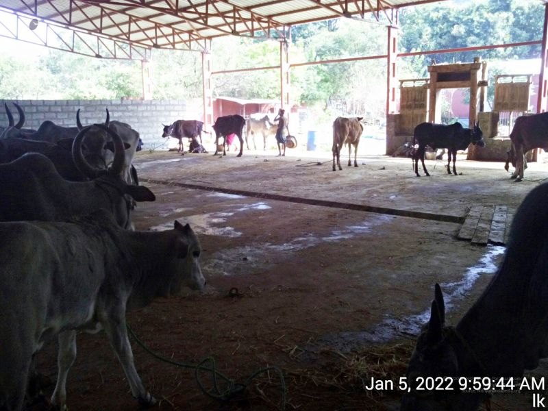 File:20220105 095944 11.jpg