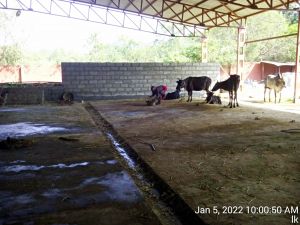 20220105 100050 11.jpg