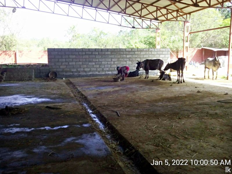 File:20220105 100050 11.jpg