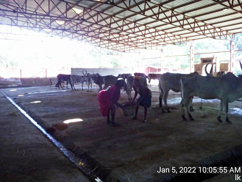 File:20220105 100555 11.jpg