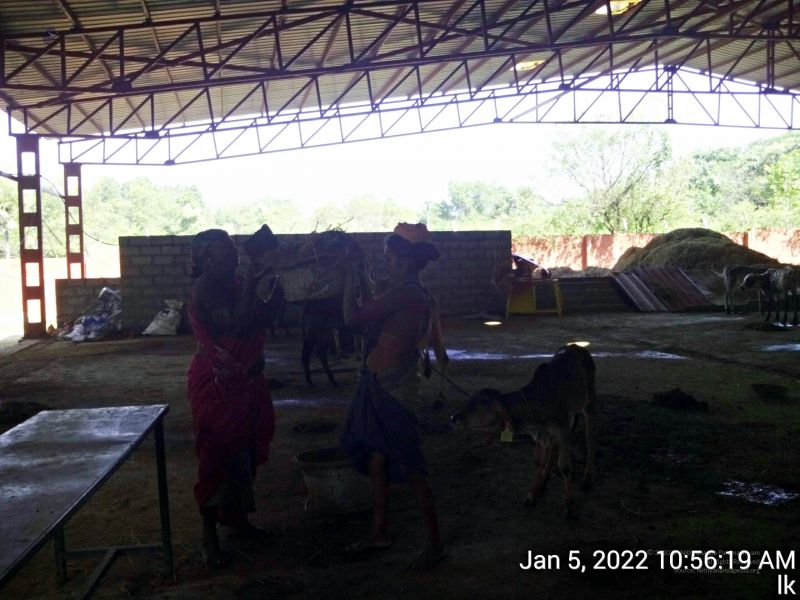 File:20220105 105619 11.jpg