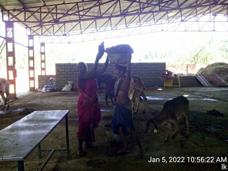 File:20220105 105622 11.jpg