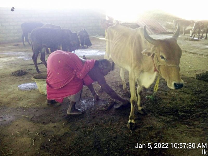 File:20220105 105730 11.jpg