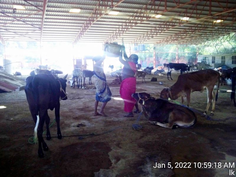 File:20220105 105918 11.jpg