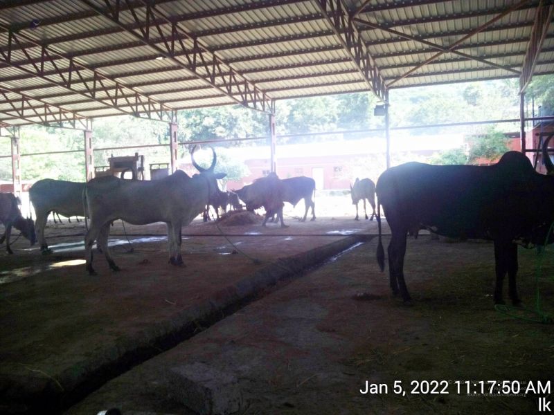 File:20220105 111750 11.jpg