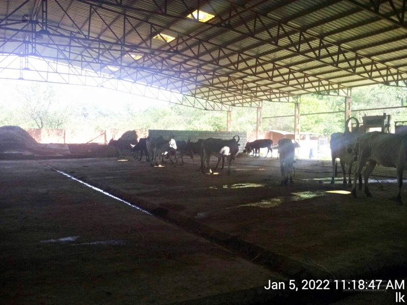 File:20220105 111847 11.jpg