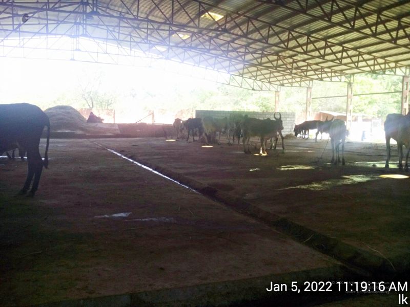 File:20220105 111916 11.jpg