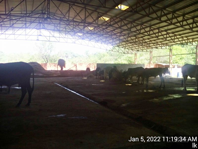 File:20220105 111934 11.jpg