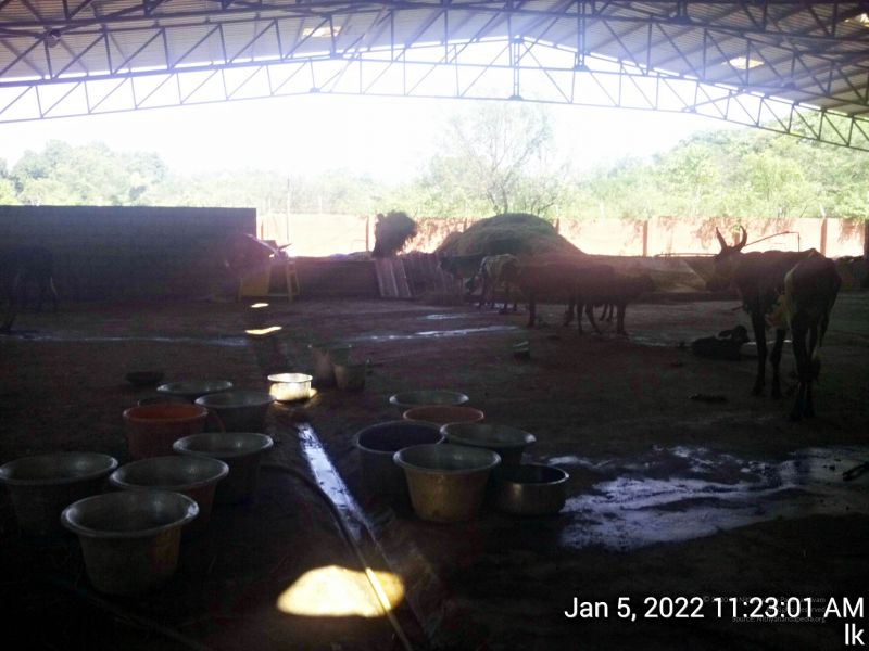 File:20220105 112301 11.jpg