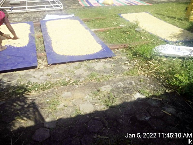 File:20220105 114510 11.jpg