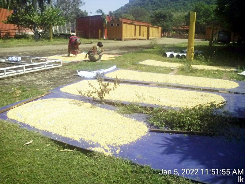 File:20220105 115155 11.jpg