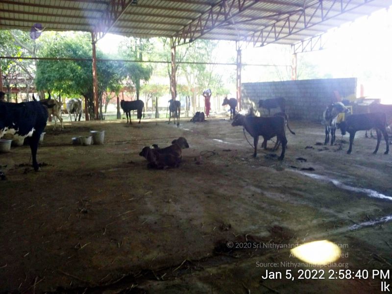 File:20220105 145840 11.jpg