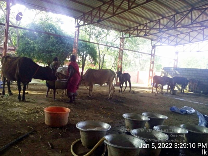 File:20220105 152910 11.jpg