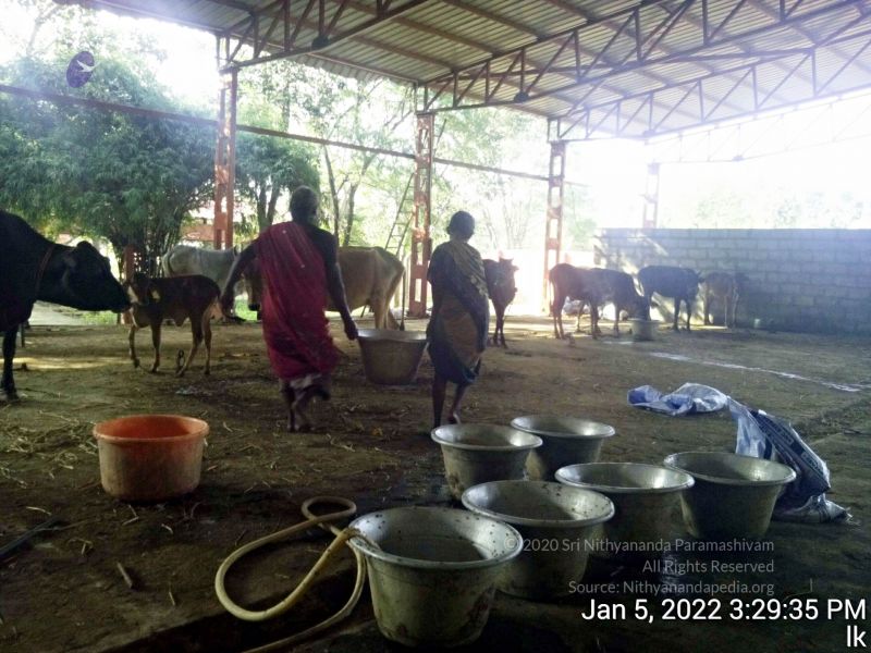 File:20220105 152935 11.jpg