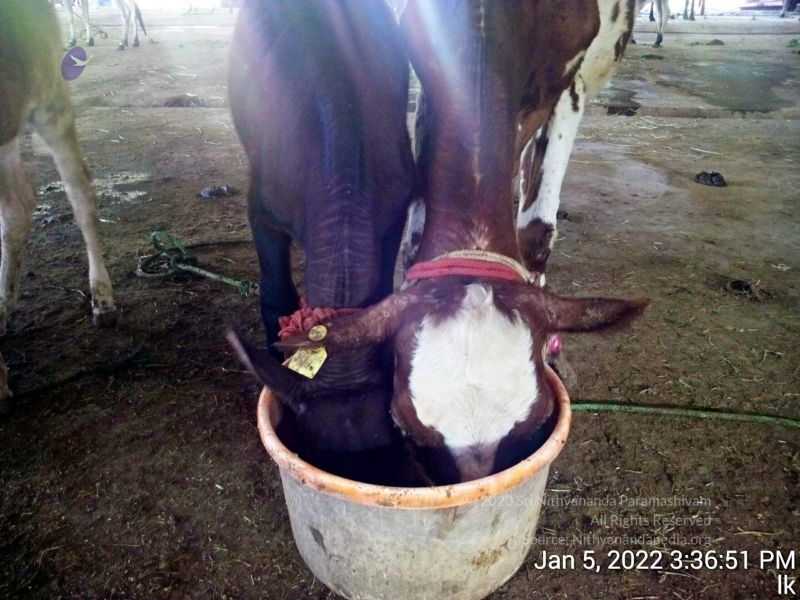 File:20220105 153652 11.jpg