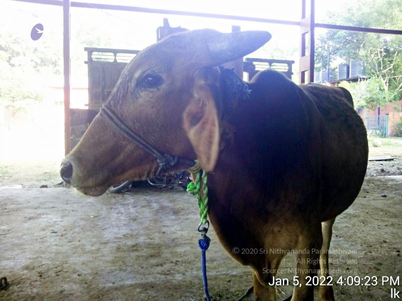 File:20220105 160923 11.jpg