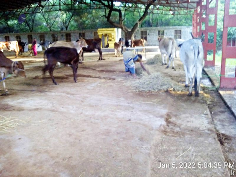 File:20220105 170439 11.jpg