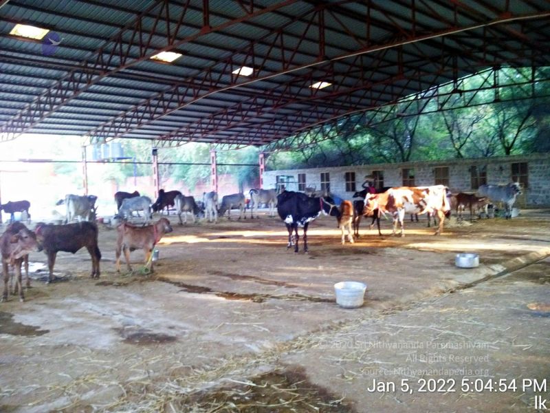 File:20220105 170454 11.jpg