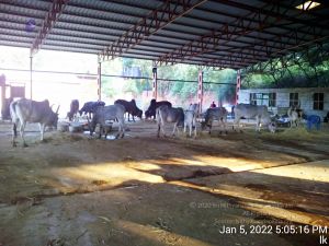 20220105 170516 11.jpg