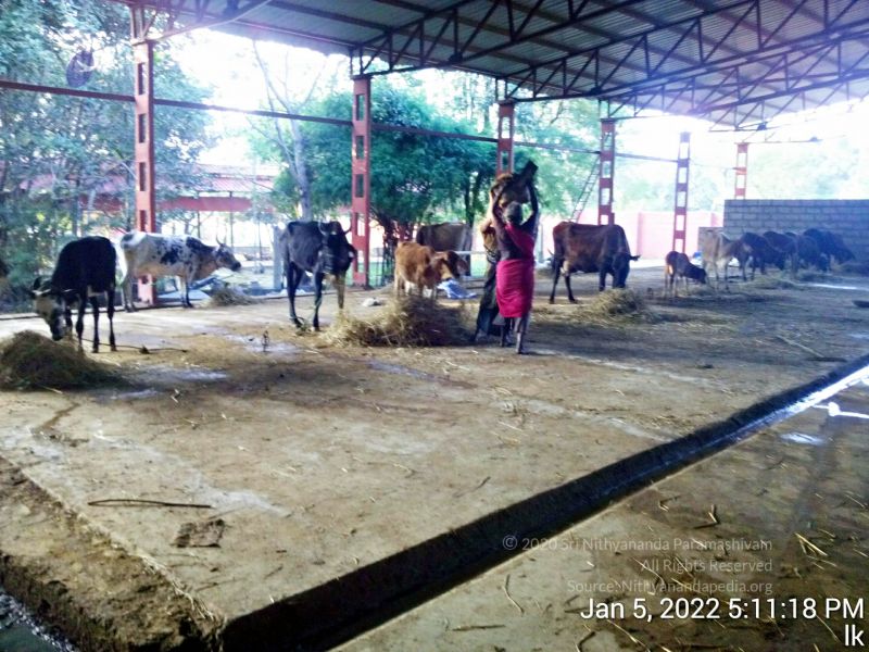 File:20220105 171118 11.jpg