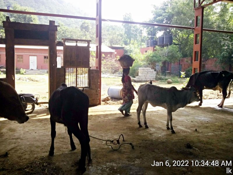 File:20220106 103448 11.jpg