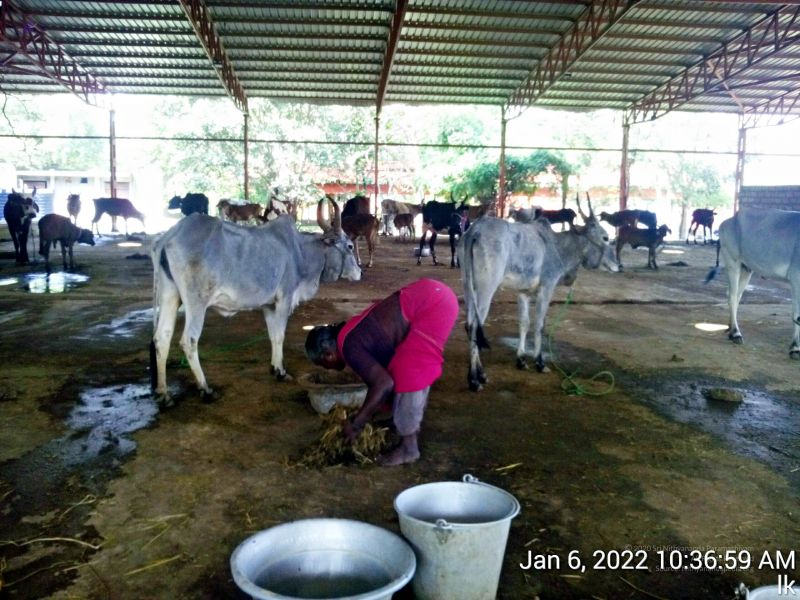 File:20220106 103700 11.jpg