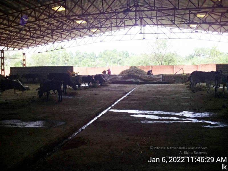 File:20220106 114629 11.jpg