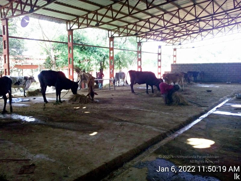 File:20220106 115019 11.jpg